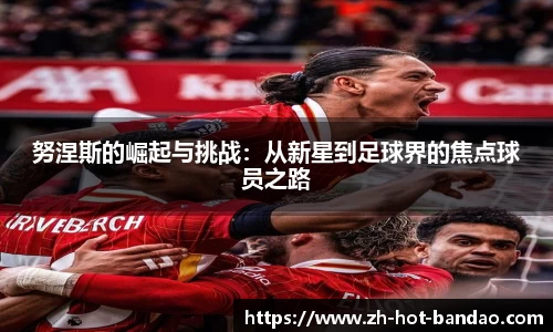 努涅斯的崛起与挑战：从新星到足球界的焦点球员之路
