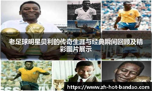 半岛体育登入入口