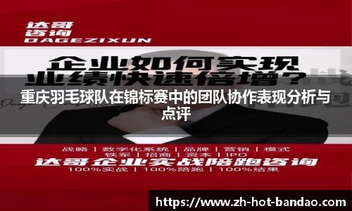 重庆羽毛球队在锦标赛中的团队协作表现分析与点评